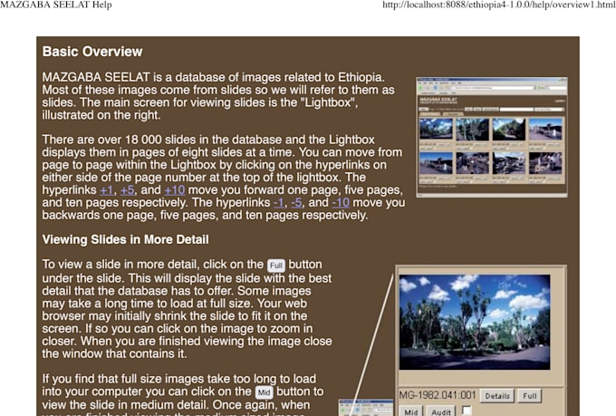 design, build, and maintain a custom website and database
